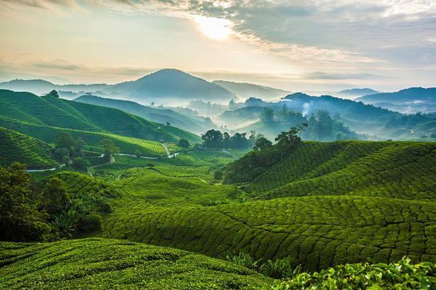 Ou Inn Cameron Highlands ,Ferm Nyonya Restaurant Tanah Rata Ngoại thất bức ảnh